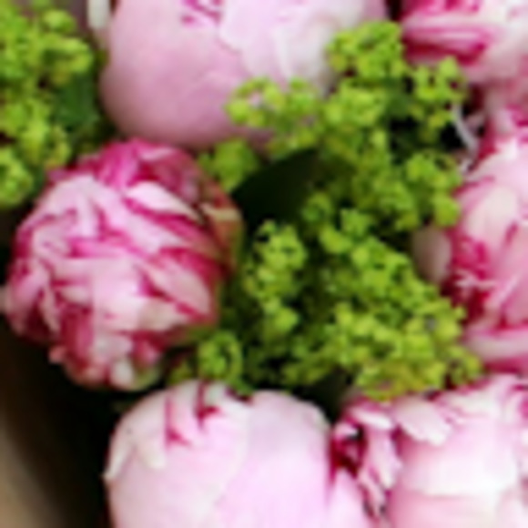 Meet your Posher, Allie p. - Picture 1 of 1